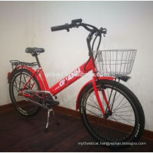 250W Hidden Battery Public Electric Bike